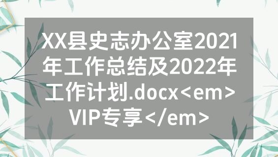 XX县史志办公室2021年工作总结及2022年工作计划.docx<em>VIP专享</em>