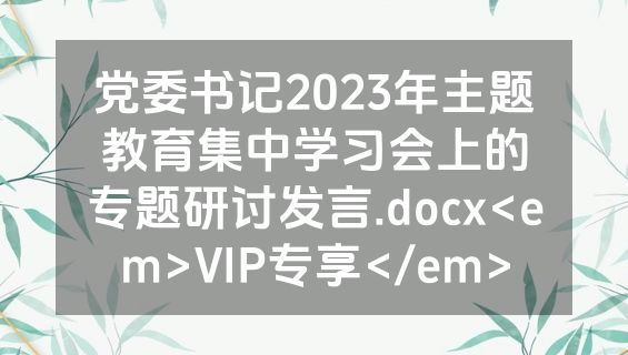 党委书记2023年主题教育集中学习会上的专题研讨发言.docx<em>VIP专享</em>