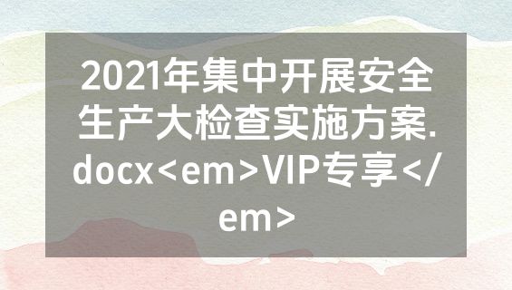 2021年集中开展安全生产大检查实施方案.docx<em>VIP专享</em>