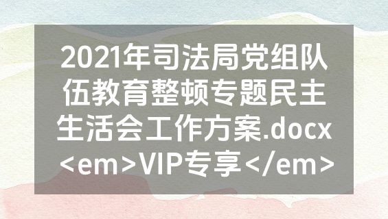 2021年司法局党组队伍教育整顿专题民主生活会工作方案.docx<em>VIP专享</em>