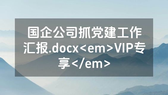 国企公司抓党建工作汇报.docx<em>VIP专享</em>