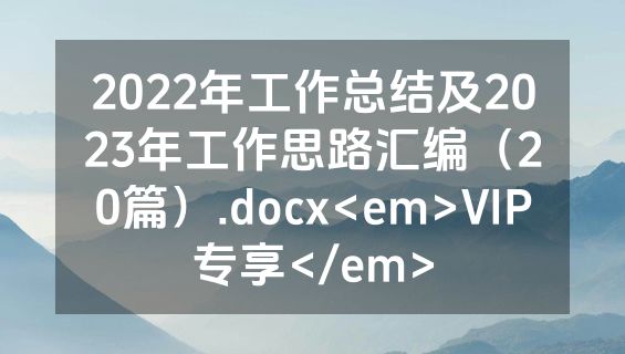 2022年工作总结及2023年工作思路汇编（20篇）.docx<em>VIP专享</em>