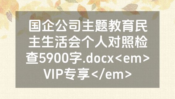 国企公司主题教育民主生活会个人对照检查5900字.docx<em>VIP专享</em>