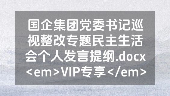 国企集团党委书记巡视整改专题民主生活会个人发言提纲.docx<em>VIP专享</em>
