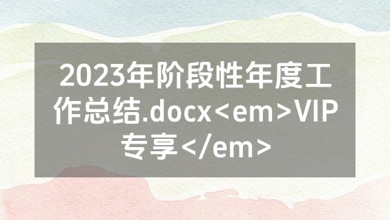 2023年阶段性年度工作总结.docx<em>VIP专享</em>