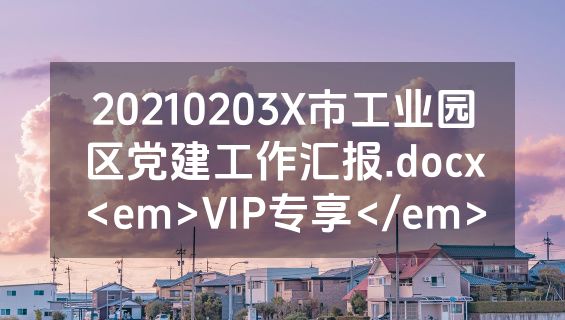 20210203X市工业园区党建工作汇报.docx<em>VIP专享</em>