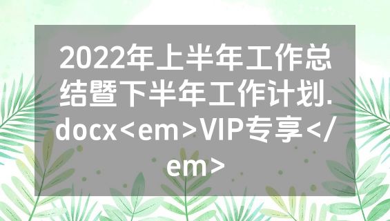 2022年上半年工作总结暨下半年工作计划.docx<em>VIP专享</em>