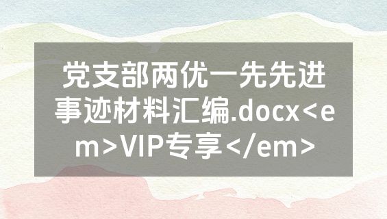 党支部两优一先先进事迹材料汇编.docx<em>VIP专享</em>