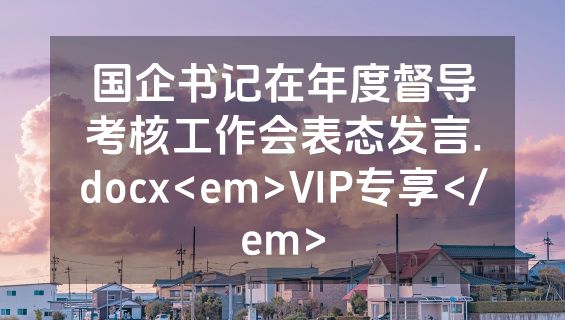 国企书记在年度督导考核工作会表态发言.docx<em>VIP专享</em>