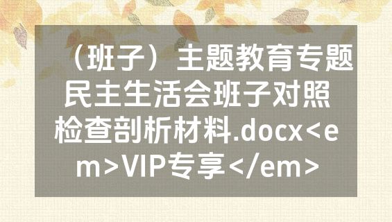 （班子）主题教育专题民主生活会班子对照检查剖析材料.docx<em>VIP专享</em>