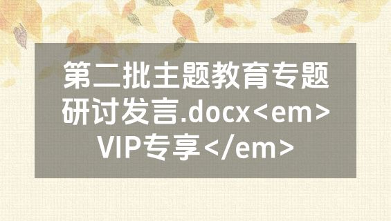 第二批主题教育专题研讨发言.docx<em>VIP专享</em>