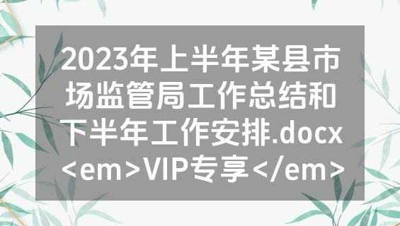 2023年上半年某县市场监管局工作总结和下半年工作安排.docx<em>VIP专享</em>