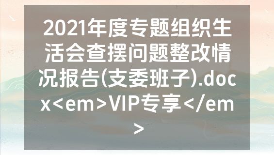 2021年度专题组织生活会查摆问题整改情况报告(支委班子).docx<em>VIP专享</em>