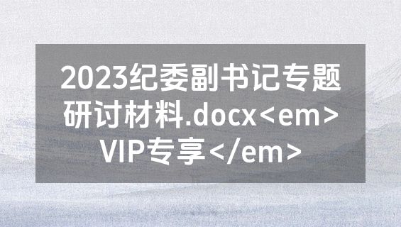 2023纪委副书记专题研讨材料.docx<em>VIP专享</em>