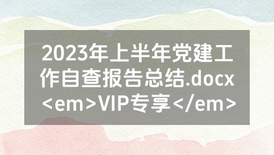 2023年上半年党建工作自查报告总结.docx<em>VIP专享</em>