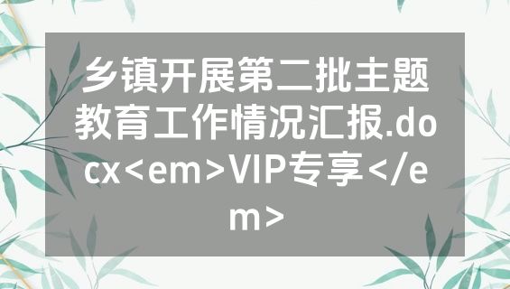 乡镇开展第二批主题教育工作情况汇报.docx<em>VIP专享</em>