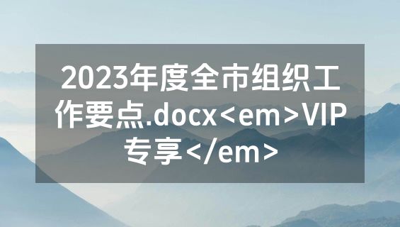 2023年度全市组织工作要点.docx<em>VIP专享</em>