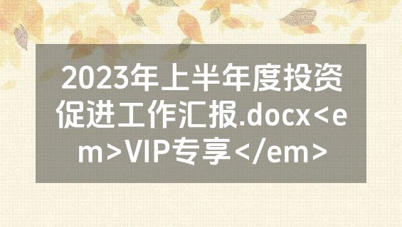 2023年上半年度投资促进工作汇报.docx<em>VIP专享</em>