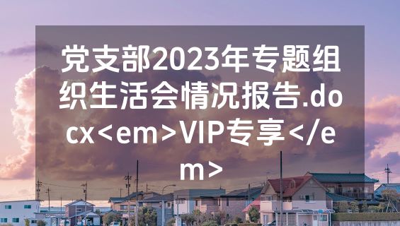党支部2023年专题组织生活会情况报告.docx<em>VIP专享</em>