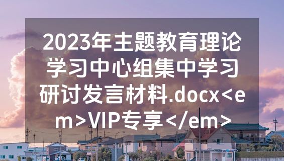2023年主题教育理论学习中心组集中学习研讨发言材料.docx<em>VIP专享</em>