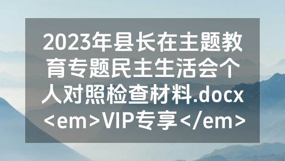 2023年县长在主题教育专题民主生活会个人对照检查材料.docx<em>VIP专享</em>
