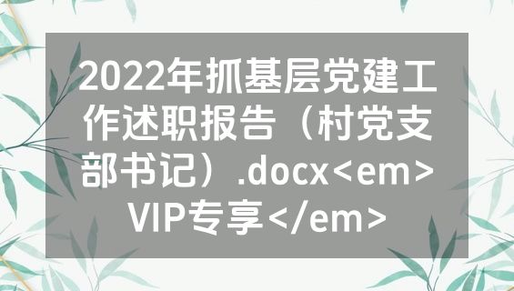 2022年抓基层党建工作述职报告（村党支部书记）.docx<em>VIP专享</em>