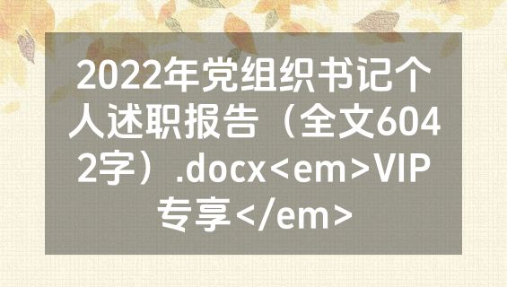 2022年党组织书记个人述职报告（全文6042字）.docx<em>VIP专享</em>