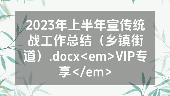 2023年上半年宣传统战工作总结（乡镇街道）.docx<em>VIP专享</em>