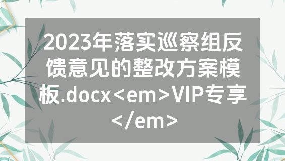 2023年落实巡察组反馈意见的整改方案模板.docx<em>VIP专享</em>