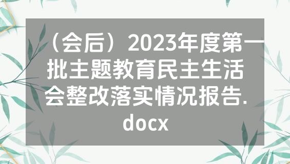 （会后）2023年度第一批主题教育民主生活会整改落实情况报告.docx