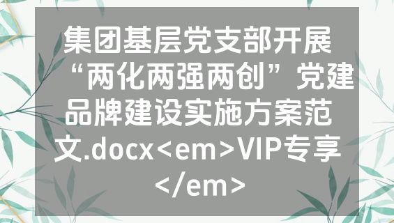 集团基层党支部开展“两化两强两创”党建品牌建设实施方案范文.docx<em>VIP专享</em>