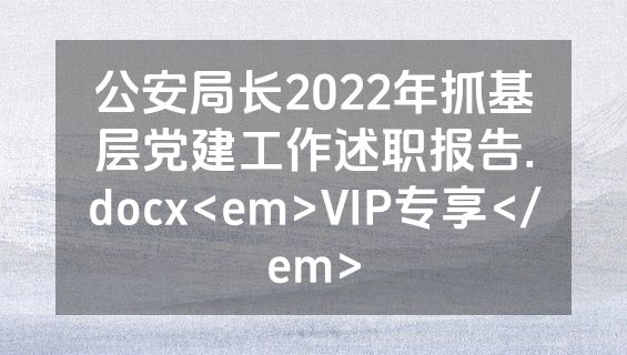 公安局长2022年抓基层党建工作述职报告.docx<em>VIP专享</em>