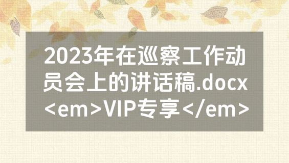 2023年在巡察工作动员会上的讲话稿.docx<em>VIP专享</em>