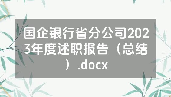 国企银行省分公司2023年度述职报告（总结）.docx