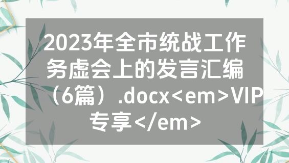 2023年全市统战工作务虚会上的发言汇编（6篇）.docx<em>VIP专享</em>
