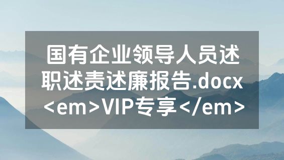 国有企业领导人员述职述责述廉报告.docx<em>VIP专享</em>