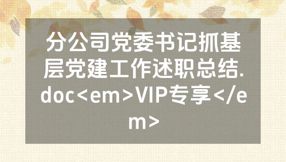 分公司党委书记抓基层党建工作述职总结.doc<em>VIP专享</em>