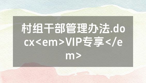 村组干部管理办法.docx<em>VIP专享</em>
