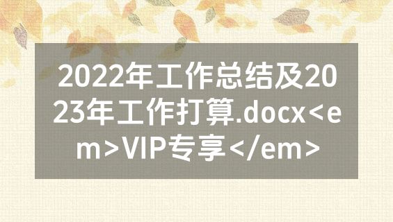 2022年工作总结及2023年工作打算.docx<em>VIP专享</em>