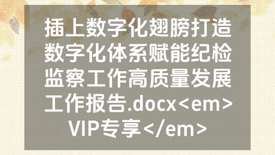 插上数字化翅膀打造数字化体系赋能纪检监察工作高质量发展工作报告.docx<em>VIP专享</em>