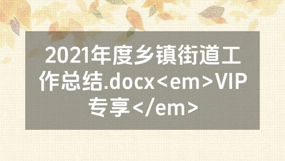 2021年度乡镇街道工作总结.docx<em>VIP专享</em>