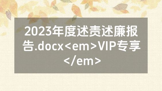 2023年度述责述廉报告.docx<em>VIP专享</em>