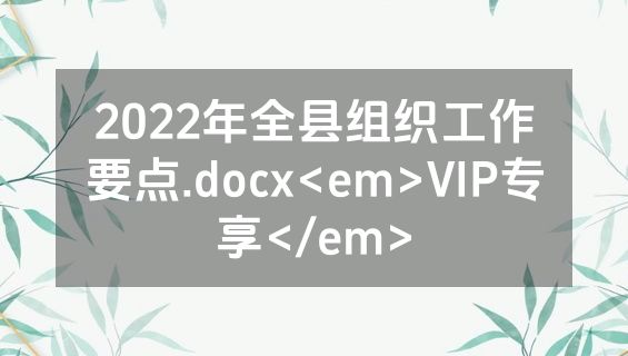 2022年全县组织工作要点.docx<em>VIP专享</em>