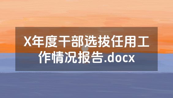 X年度干部选拔任用工作情况报告.docx