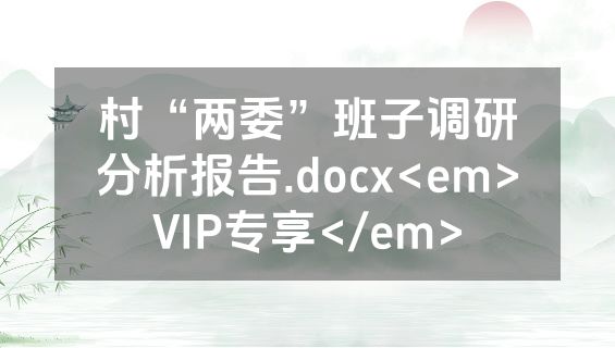 村“两委”班子调研分析报告.docx<em>VIP专享</em>