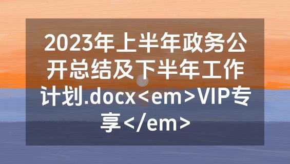 2023年上半年政务公开总结及下半年工作计划.docx<em>VIP专享</em>