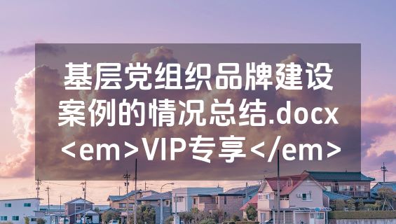 基层党组织品牌建设案例的情况总结.docx<em>VIP专享</em>