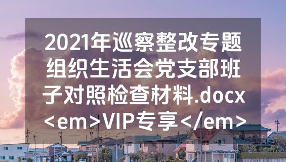 2021年巡察整改专题组织生活会党支部班子对照检查材料.docx<em>VIP专享</em>