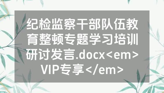纪检监察干部队伍教育整顿专题学习培训研讨发言.docx<em>VIP专享</em>