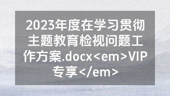 2023年度在学习贯彻主题教育检视问题工作方案.docx<em>VIP专享</em>